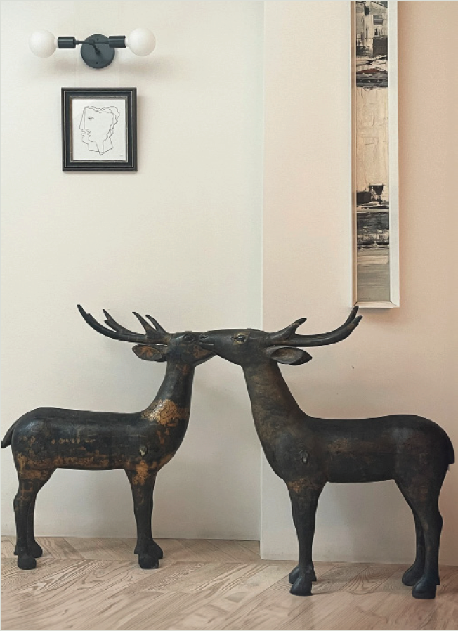 Kitchen corner with Indian deer