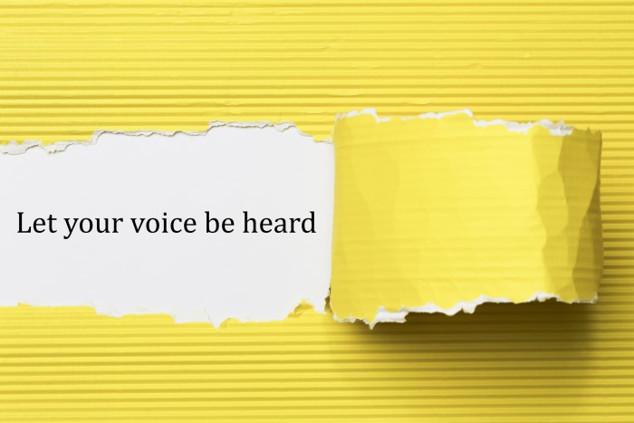 Let your voice be heard graphic