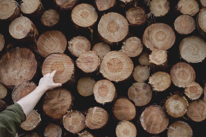 pile of wooden logs
