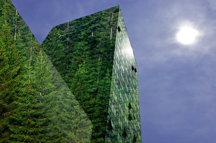 An upshot of a commercial building covered in green foliage