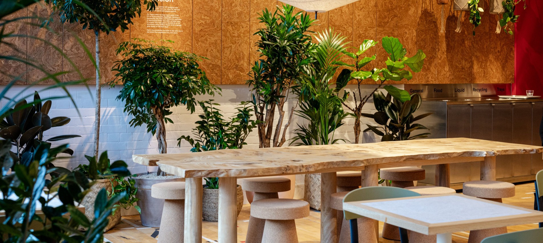 Long table and plants