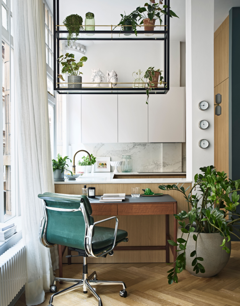 Houseplants around desk