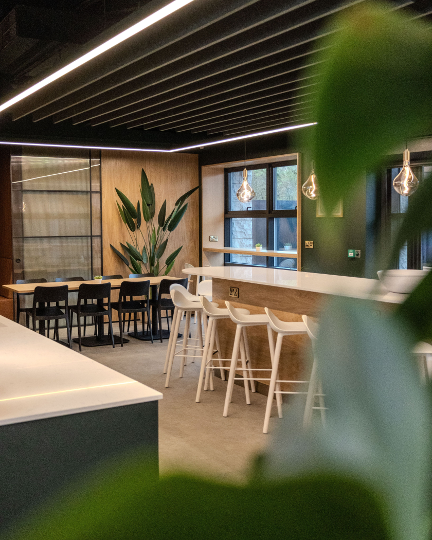 Office and plants