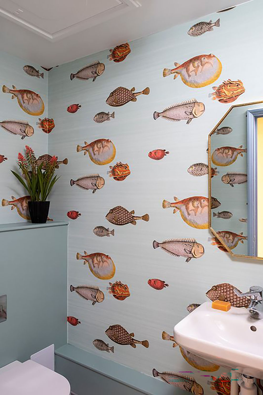 Fish wallpaper