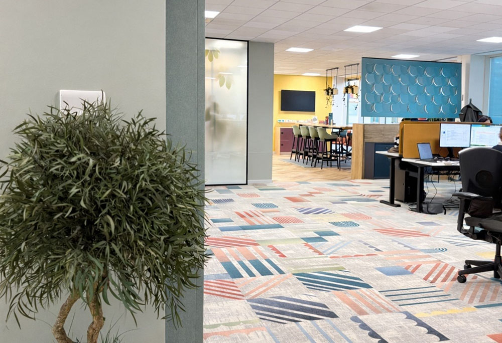 Lumina Learning Global Office 5