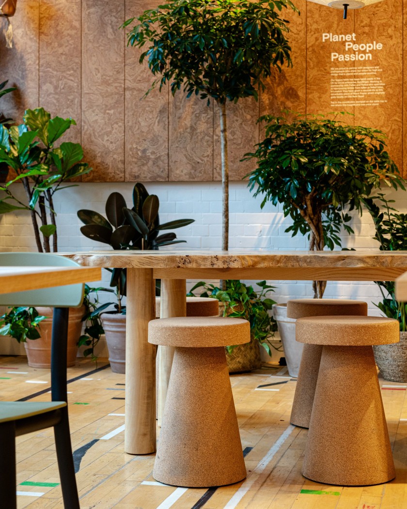 Seating area and plants